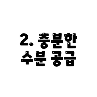 2. 충분한 수분 공급