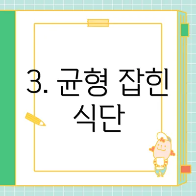 3. 균형 잡힌 식단