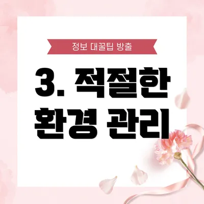 3. 적절한 환경 관리