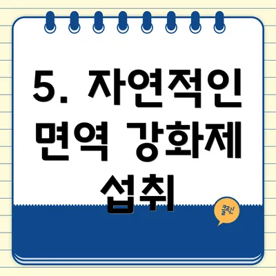 5. 자연적인 면역 강화제 섭취