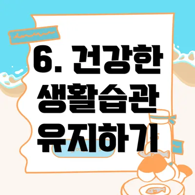 6. 건강한 생활습관 유지하기