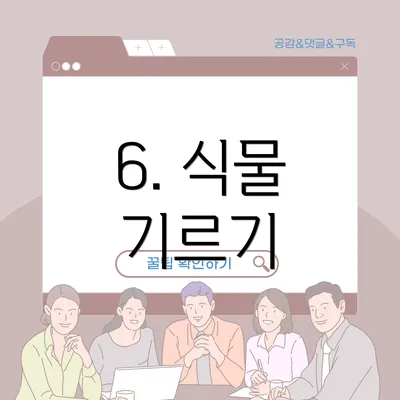 6. 식물 기르기