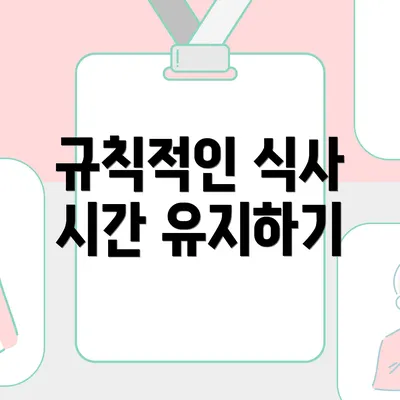 규칙적인 식사 시간 유지하기