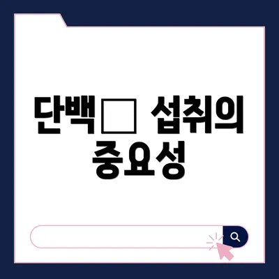 단백质 섭취의 중요성