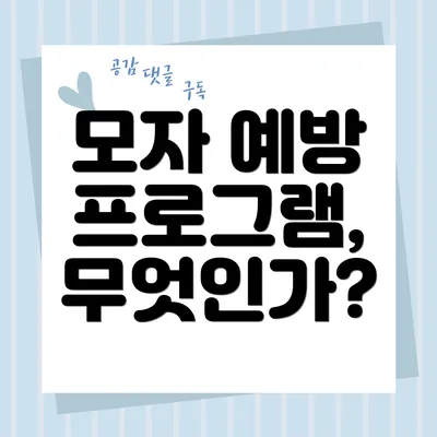 모자 예방 프로그램, 무엇인가?