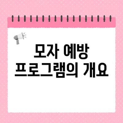 모자 예방 프로그램의 개요