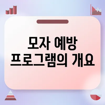 모자 예방 프로그램의 개요