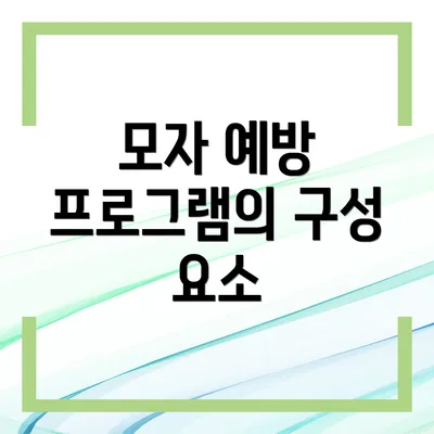 모자 예방 프로그램의 구성 요소