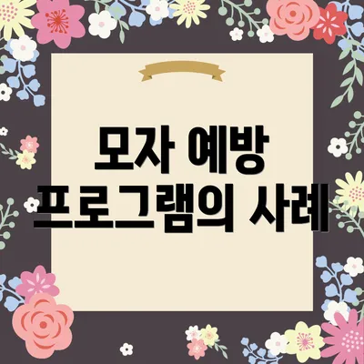 모자 예방 프로그램의 사례