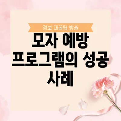 모자 예방 프로그램의 성공 사례