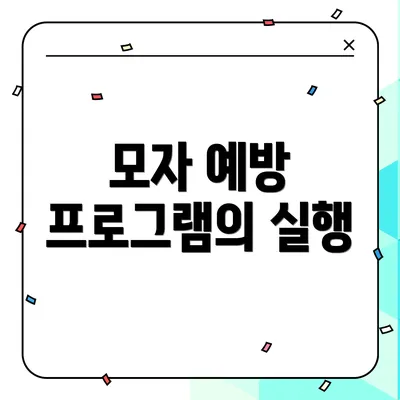 모자 예방 프로그램의 실행
