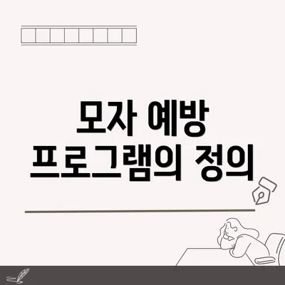 모자 예방 프로그램의 정의