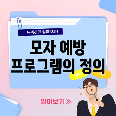 모자 예방 프로그램의 정의