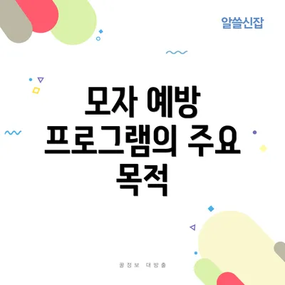모자 예방 프로그램의 주요 목적