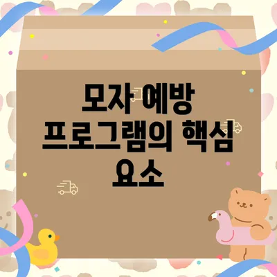 모자 예방 프로그램의 핵심 요소