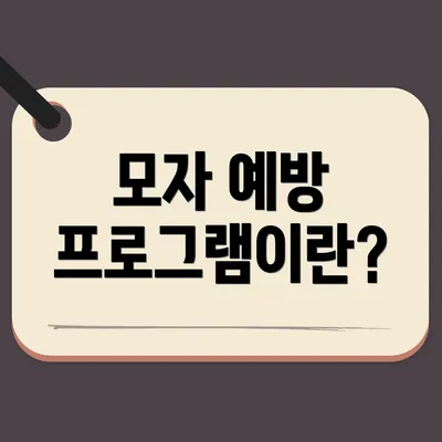 모자 예방 프로그램이란?