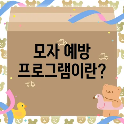 모자 예방 프로그램이란?