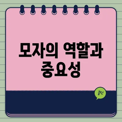 모자의 역할과 중요성