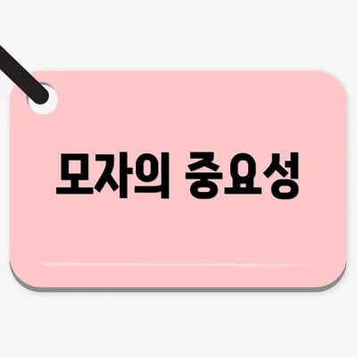 모자의 중요성