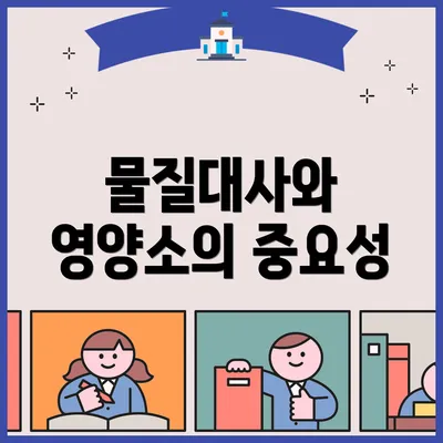물질대사와 영양소의 중요성