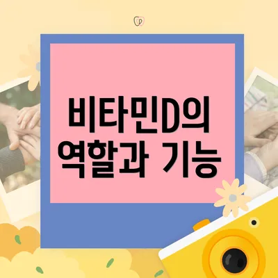 비타민D의 역할과 기능