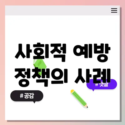 사회적 예방 정책의 사례