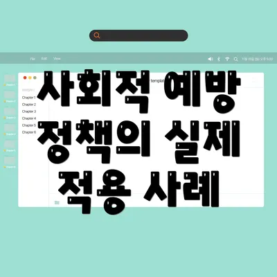 사회적 예방 정책의 실제 적용 사례