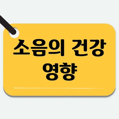 소음의 건강 영향