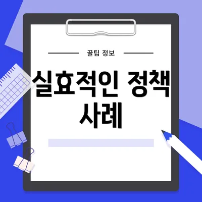 실효적인 정책 사례