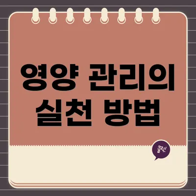 영양 관리의 실천 방법