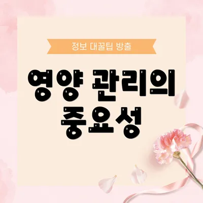 영양 관리의 중요성