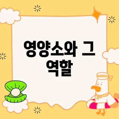 영양소와 그 역할
