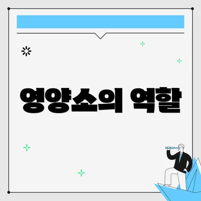 영양소의 역할