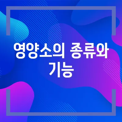 영양소의 종류와 기능
