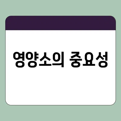 영양소의 중요성