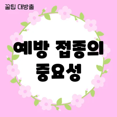 예방 접종의 중요성