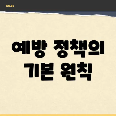 예방 정책의 기본 원칙