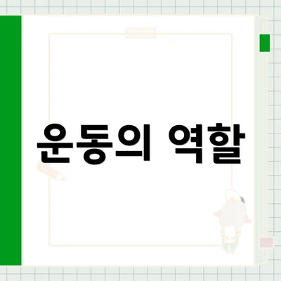 운동의 역할