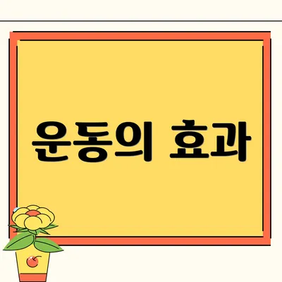 운동의 효과