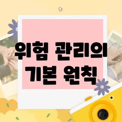위험 관리의 기본 원칙