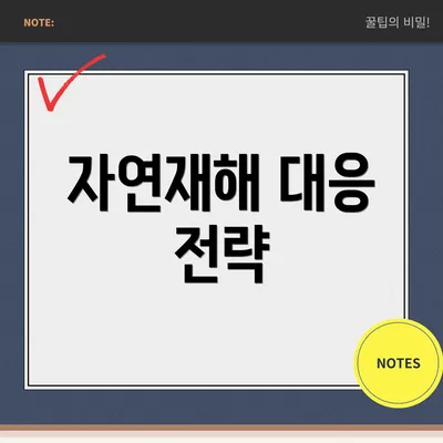 자연재해 대응 전략