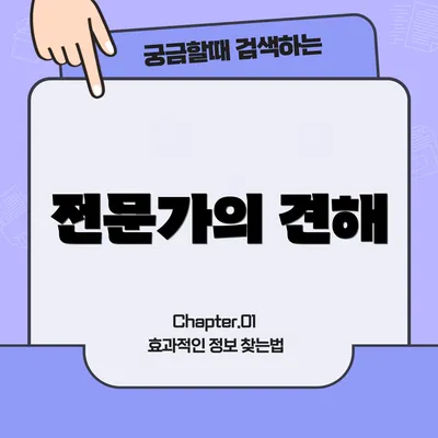 전문가의 견해