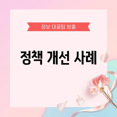 정책 개선 사례