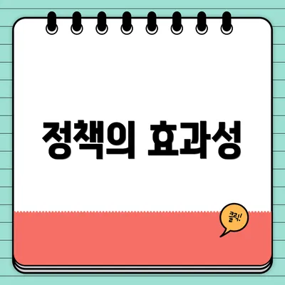 정책의 효과성
