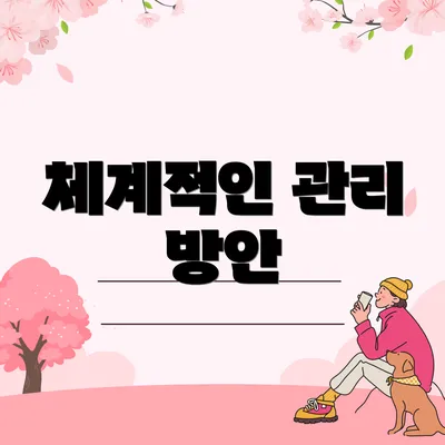 체계적인 관리 방안