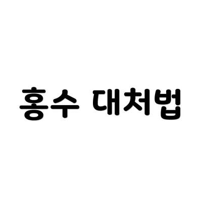 홍수 대처법