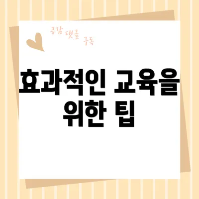 효과적인 교육을 위한 팁