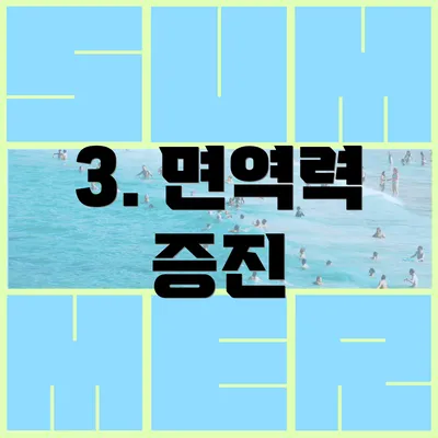 3. 면역력 증진