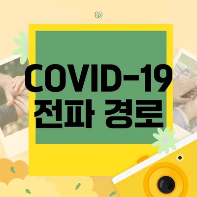 COVID-19 전파 경로