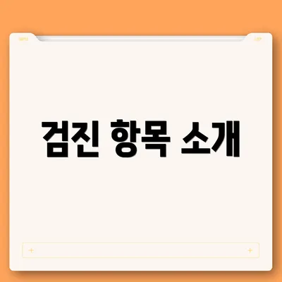 검진 항목 소개